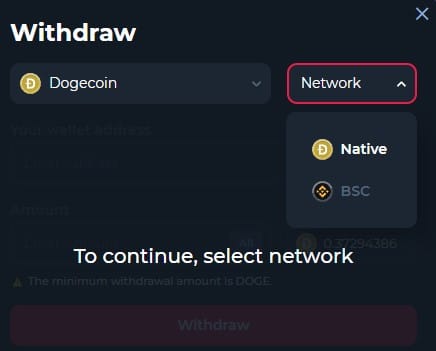 doge withdrawal on betfury