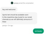 rollify chat